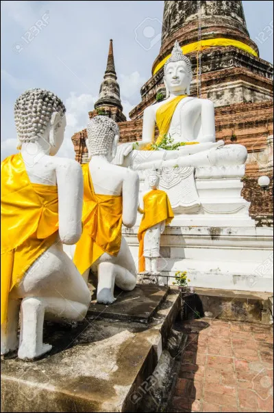 Lesquelles de ces célébrités sont Thaïes ?