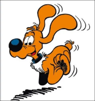 Comment s'appelle son chien ?