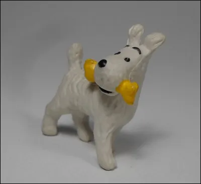 Comment s'appelle son chien ?