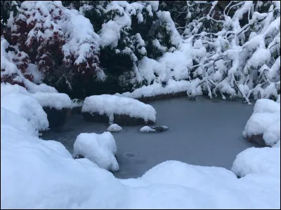 Comment dit-on ''hiver'' en japonais ?