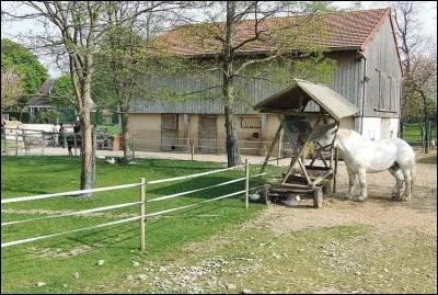 Ferme : à quel chanteur appartient "La Ferme du Bonheur" ?