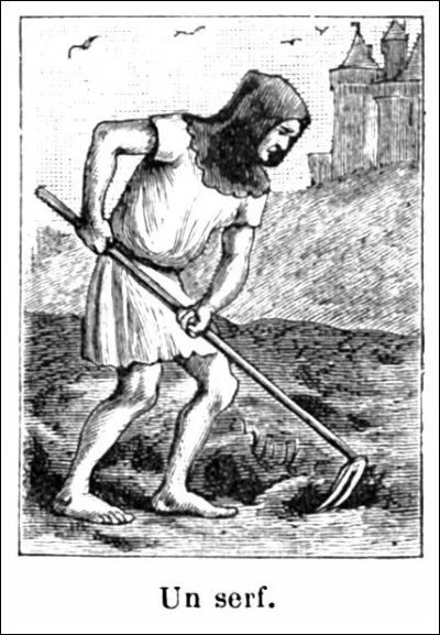 L'&eacute;tang de Mateille est une &eacute;tendue d'eau lagunaire, un cordon, submersible par temp&ecirc;te, le s&eacute;pare de la mer. La digue, construite dans les ann&eacute;es 1970, a vu na&icirc;tre un cordon de dunes de sable fin apport&eacute; par le vent marin et un autre venu du nord-ouest, quel est son nom ?