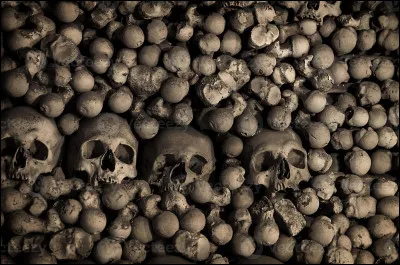 Vous pourrez voir les hu&icirc;triers pie rechercher leur nourriture parmi les zones rocheuses : mollusques et crustac&eacute;s. Avec les plumes du dos noires et celles du ventre blanches, de quelle couleur est leur bec avec la maturit&eacute; ?