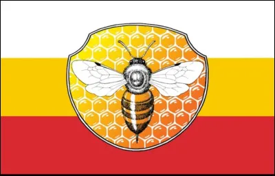 De quelle idéologie est ce drapeau ?