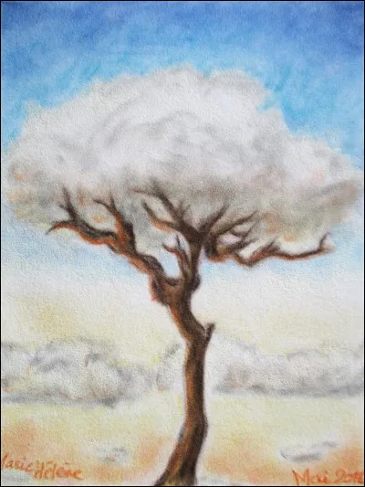 As-tu souvent la tête dans les nuages ?