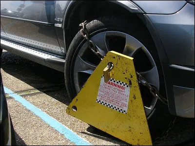 Que porteraient les avocats sans les fous et les sots ?