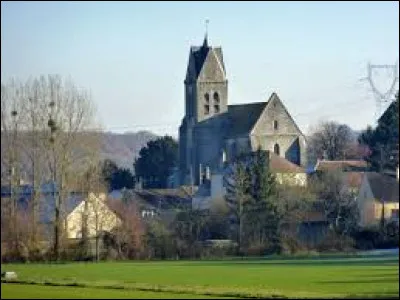 Village Seine-et-Marnais, Salins se situe en région ...