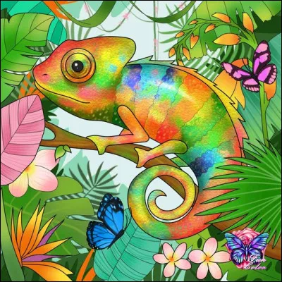 Si mon quiz ne vous plaît pas, alors n'insistez pas :