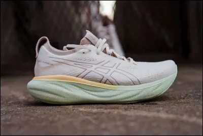 Quelle est cette marque ?