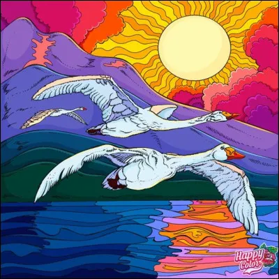 Que dire des scores d'un quiz dont la moyenne est de 30 % ?