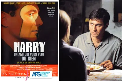 Quelle actrice est à l'affiche du film "Harry, un ami qui vous veut du bien" ?