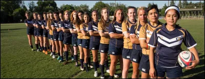 Quel sport est ton pr&eacute;f&eacute;r&eacute; ?