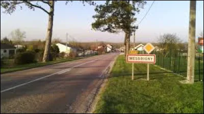 Nous sommes dans le Grand-Est à l'entrée de Mesgrigny. Village de l'arrondissement de Nogent-sur-Seine, il se situe dans le département ...