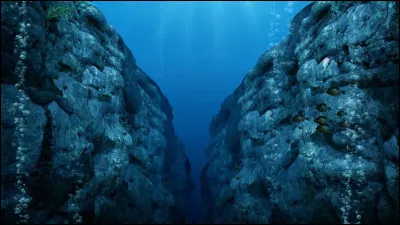 Quel est le nom du lieu le plus profond du monde, situé dans l'océan Pacifique ?