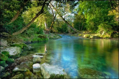 Quelle est cette rivière, longue de 104 km, qui prend sa source dans le Cantal, coule vers l'ouest, arrose Figeac, traverse le sud du département avant de se jeter dans le Lot ?