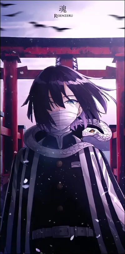 Qui est ce personnage de "Demon Slayer" ?