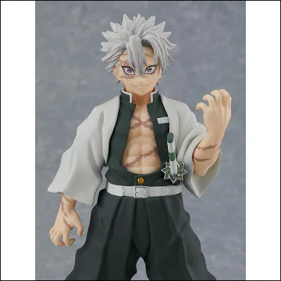 Qui est ce personnage de "Demon Slayer" ?