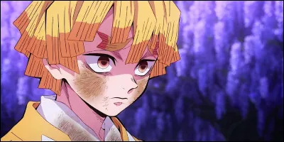 Qui est ce personnage de "Demon Slayer" ?
