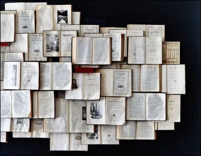 Une belle maison se trouve à côté de chez nous. Ici, quelle est la fonction du mot "belle" ?