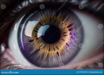 De quelle couleur sont tes yeux ? (2)