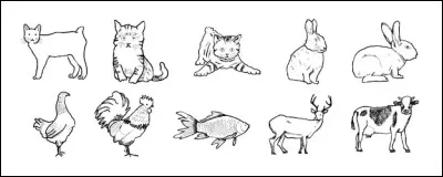 Quel est ton animal préféré entre ceux-ci ?