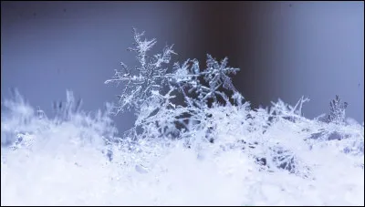 Comment Flocon de Neige est-il ?