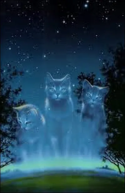 Est-ce que Flocon de Neige croit au Clan des Étoiles ?