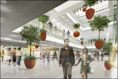 Si d'aventure tu devais aller dans un centre commercial, dans lequel de ces endroit irais-tu ?