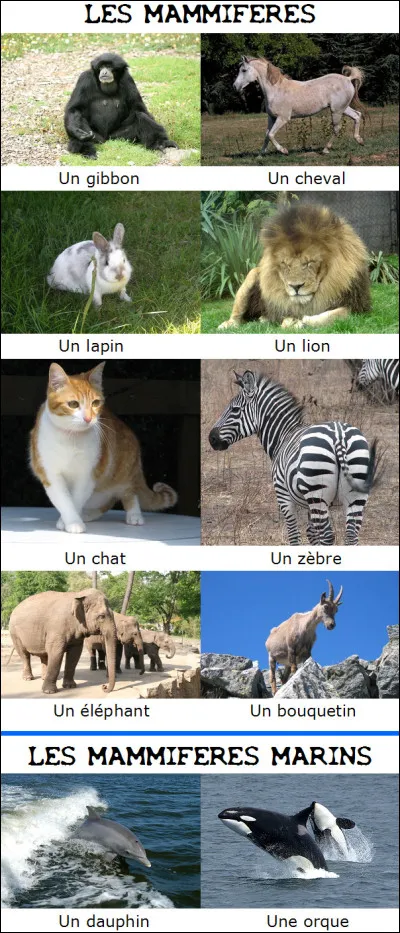 Quel animal représente le Bangladesh ?