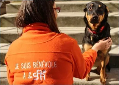 Environ combien de bénévoles la SPA compte-t-elle ?