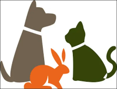 Quels types d'animaux la SPA recueille-t-elle ?