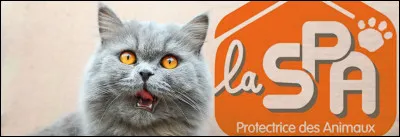 La SPA est également impliquée dans des campagnes contre...