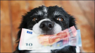 Quelle est la principale source de financement de la SPA ?