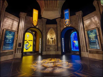 Dans quelle saga parle-t-on de Harry Potter ?