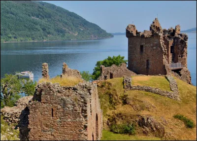 D'aucuns ont dit avoir vu le monstre du Loch Ness, d'aucuns pensent qu'il s'agit d'un dinosaure marin, lequel ?