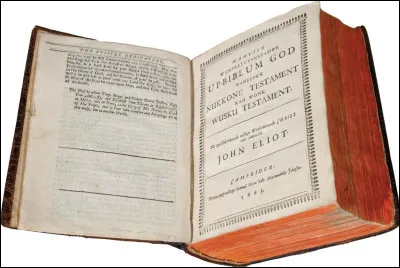 Il est dit que la Bible pourrait avoir évoquer les dinosaures selon les spécialistes ... de quelle façon ?