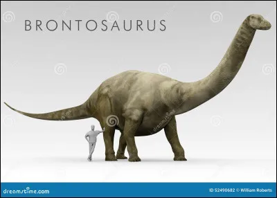 La rencontre êtres humains et dinosaures a-elle eu lieu ?