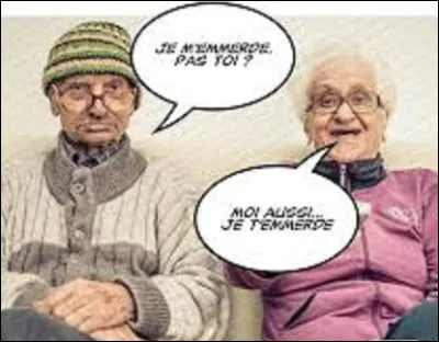 Qui a chanté ''Mon vieux'' ?