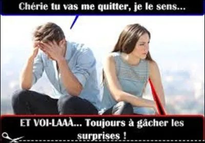 Pouvez-vous me dire qui a interprété ''Les Divorcés'' ?