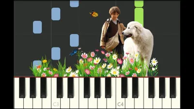 Aimes-tu le contact ?