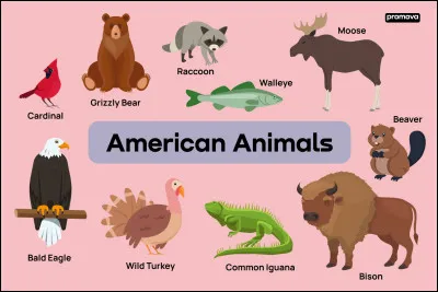 Quel est ton animal préféré ?