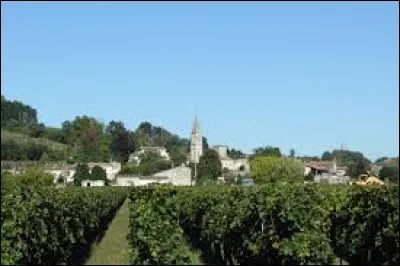 Voici une vue, depuis les vignes, de Saint-Michel-de-Fronsac. Commune de l'aire d'attraction Bordelaise, elle se situe dans le département ...