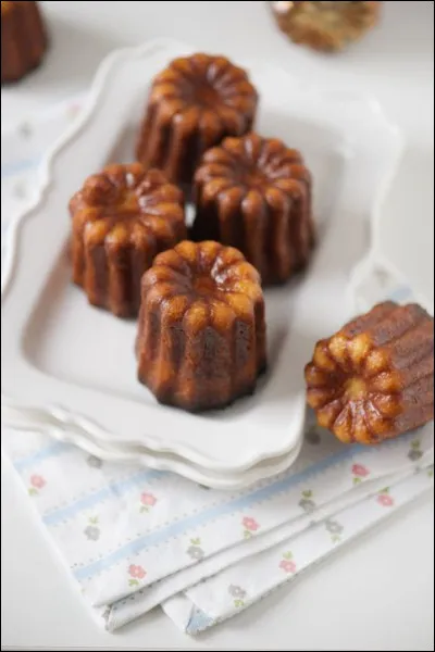 C'est la fin de notre tour du monde et nous devons revenir en France. De quelle ville provient ce délicieux mets que l'on nomme cannelé ?