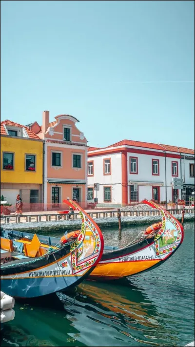 Où se trouve Aveiro ?