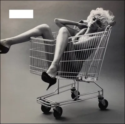 Quel chanteur français a enregistré cet album ?
Quel est son titre ?
(Chanteur / Titre)