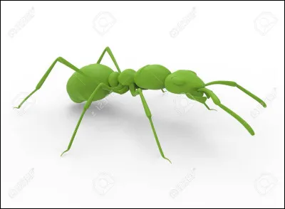 Le "........." où rêvent les fourmis vertes, Les enfants du "..........."