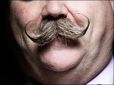 Qui est l'auteur du roman intitulé "La Moustache" ?