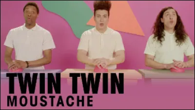 Quel groupe interprète "Moustache" en 2013 ?