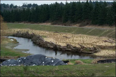 Merde alors, c'est l'...