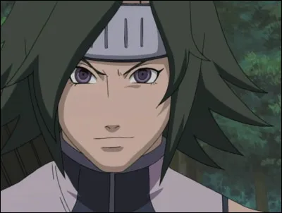 Dans quel anime le retrouve-t-on ?